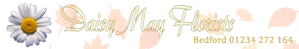Daisy May Florist